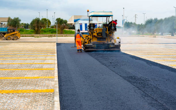 Best Stone driveway pavers in Rainbow Park, FL